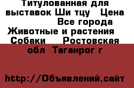 Титулованная для выставок Ши-тцу › Цена ­ 100 000 - Все города Животные и растения » Собаки   . Ростовская обл.,Таганрог г.